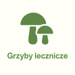 Grzyby lecznicze